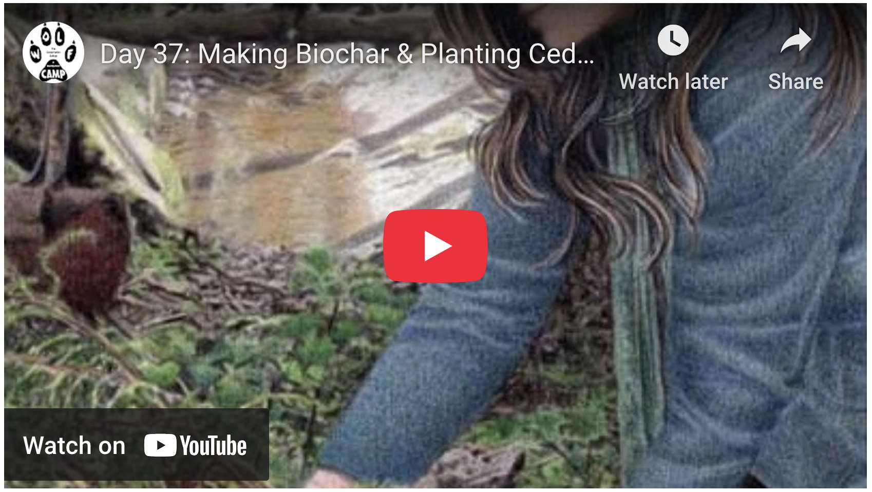 Trees: The Natural Climate Change Solution